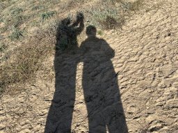 153-01-01-2026 IMG_3348